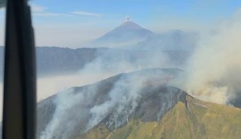 Karhutla Melanda Lima Wilayah Gunung di Jawa Timur