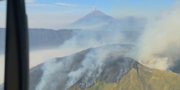Karhutla Melanda Lima Wilayah Gunung di Jawa Timur