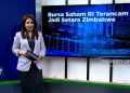 Bursa Saham Indonesia Terancam Menjadi Setara Zimbabwe
