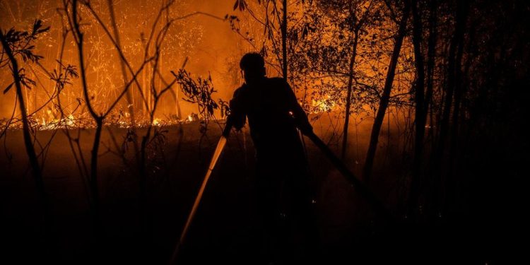 9 Relawan Meninggal Dunia Saat Berjuang Memadamkan Kebakaran Hutan dan Lahan