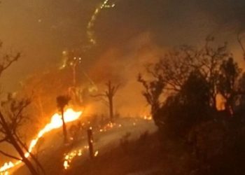 Polri Tetapkan 245 Tersangka Kebakaran Hutan dan Lahan di Luas 5.859 Hektare