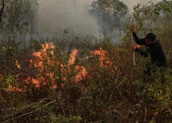 Malaysia Siapkan Bantuan Pesawat dan Helikopter Atasi Kebakaran Hutan dan Lahan