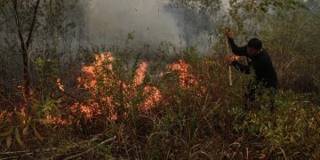 Malaysia Siapkan Bantuan Pesawat dan Helikopter Atasi Kebakaran Hutan dan Lahan