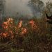 Malaysia Siapkan Bantuan Pesawat dan Helikopter Atasi Kebakaran Hutan dan Lahan