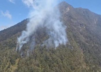 110 Pendaki Arjuno-Welirang Dievakuasi Karena Kebakaran Hutan, Semua Selamat